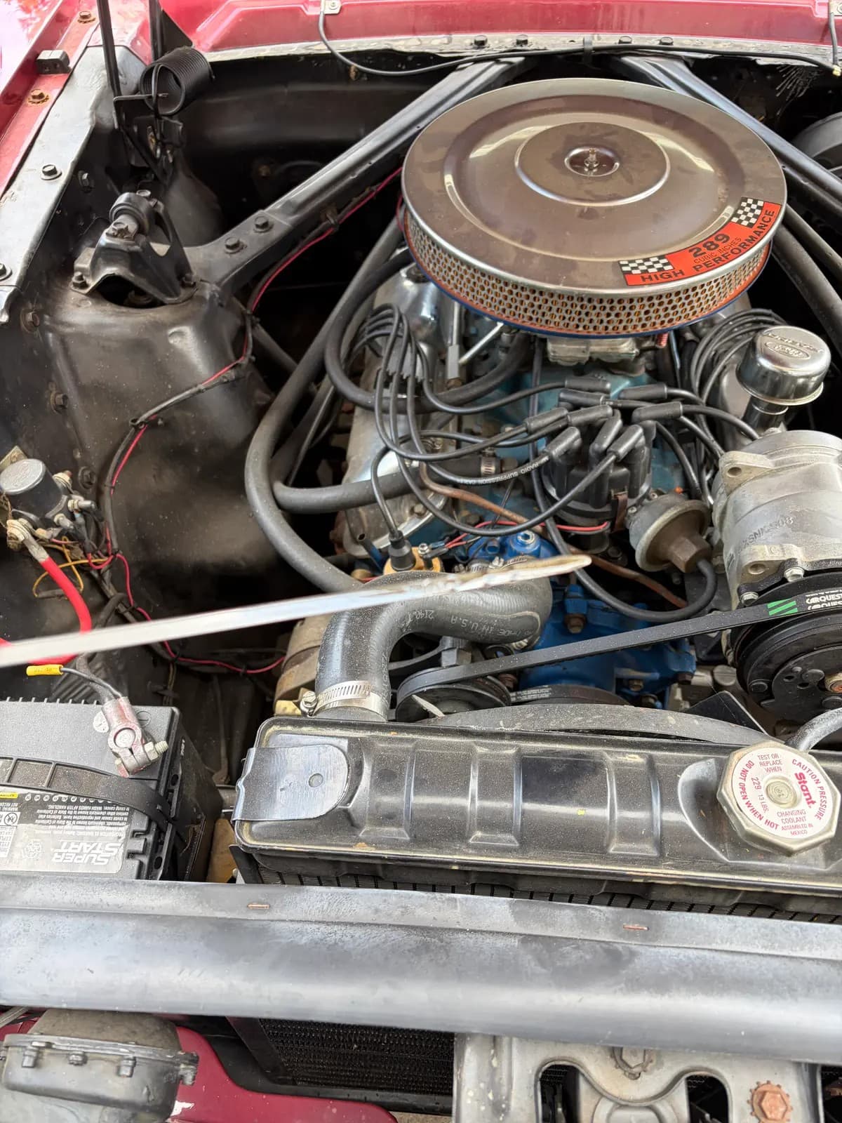 1965 ford mustang gt for sale